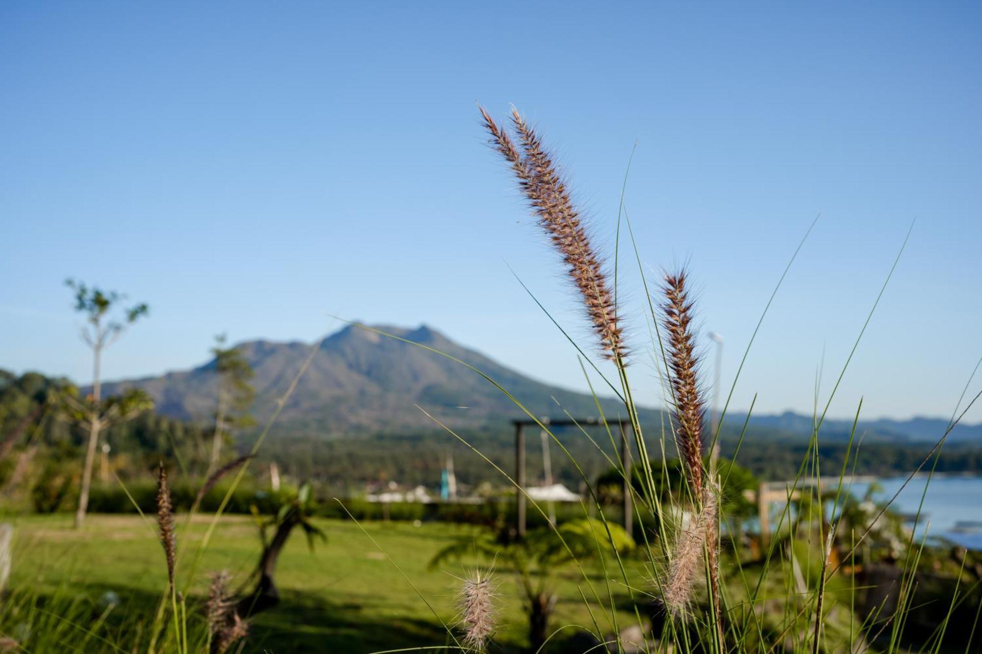 Отель Samuh Camp Kintamani Экстерьер фото
